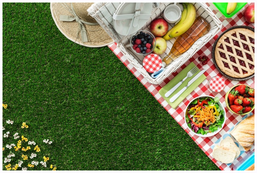 Letni piknik