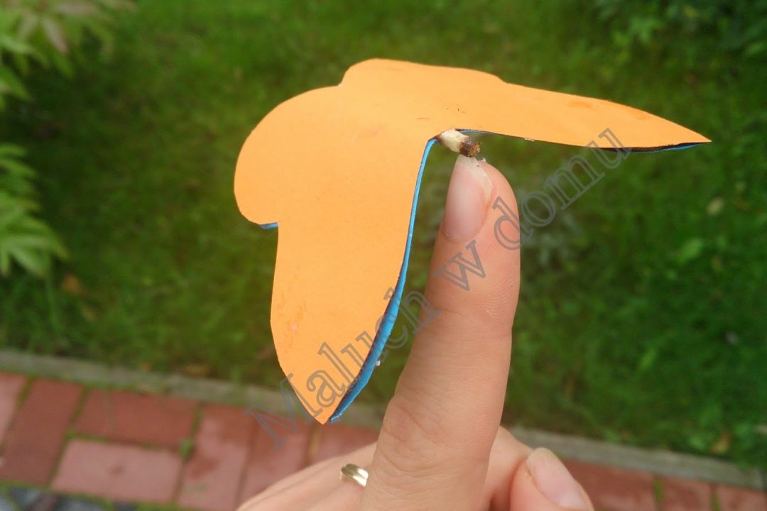 „Magiczny” motylek