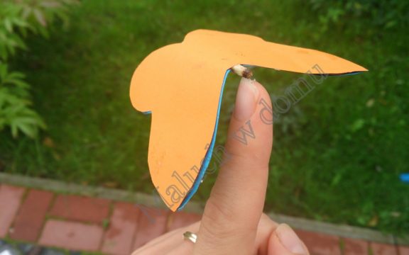 „Magiczny” motylek