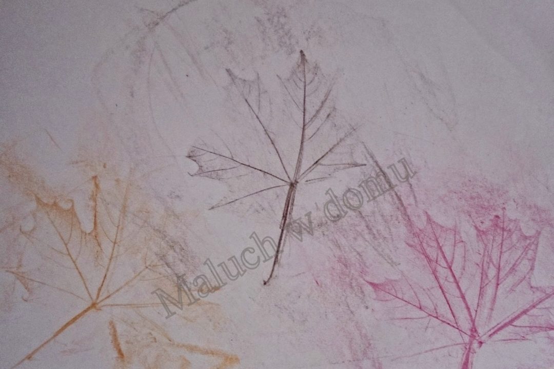 Liście, kartki i kredki…