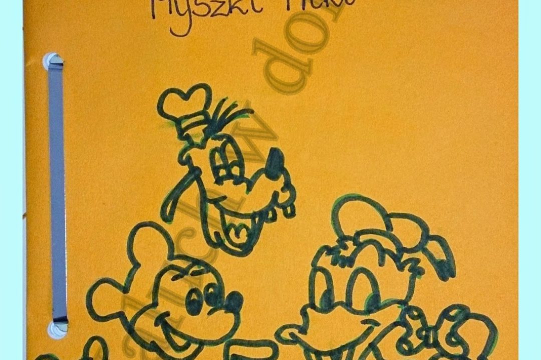 Kolejna książeczka…