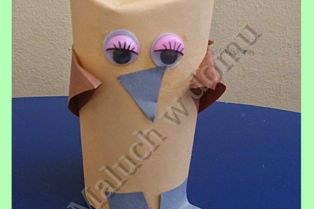 Jak zrobić sowę z rolki po papierze?