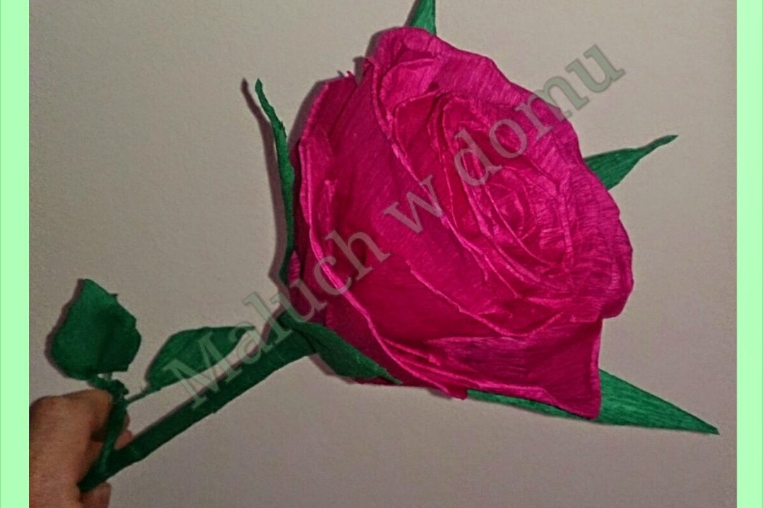 Jak zrobić różę z krepy