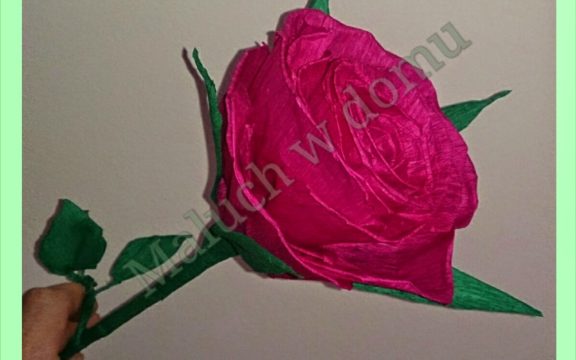 Jak zrobić różę z krepy