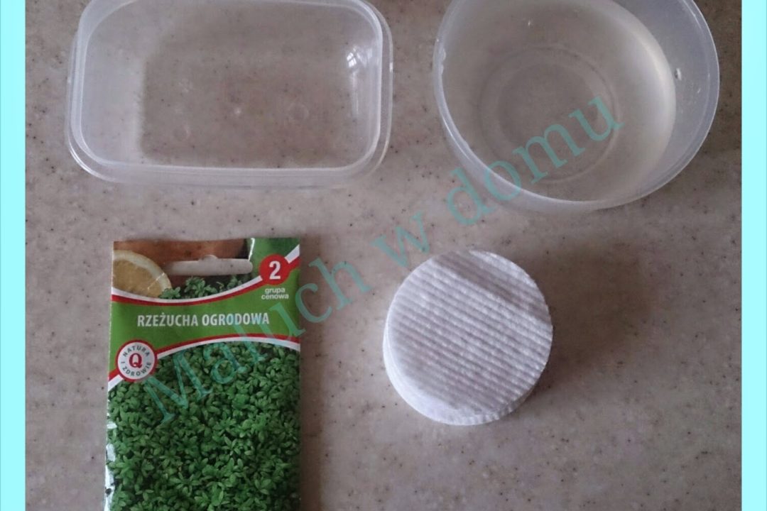 Właściwości rzeżuchy i wykorzystanie jej do obserwacji