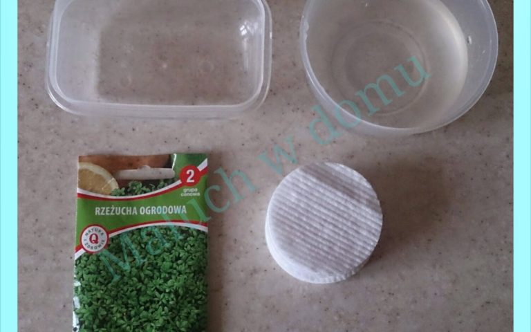 Właściwości rzeżuchy i wykorzystanie jej do obserwacji