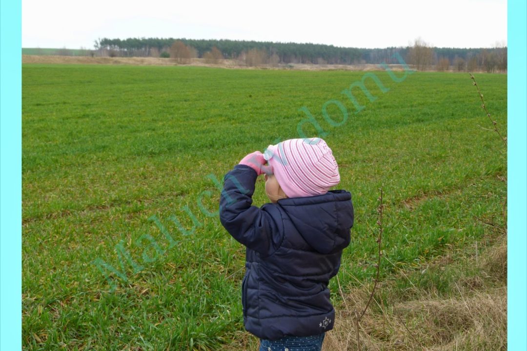 Czy była tu Pani Wiosna?