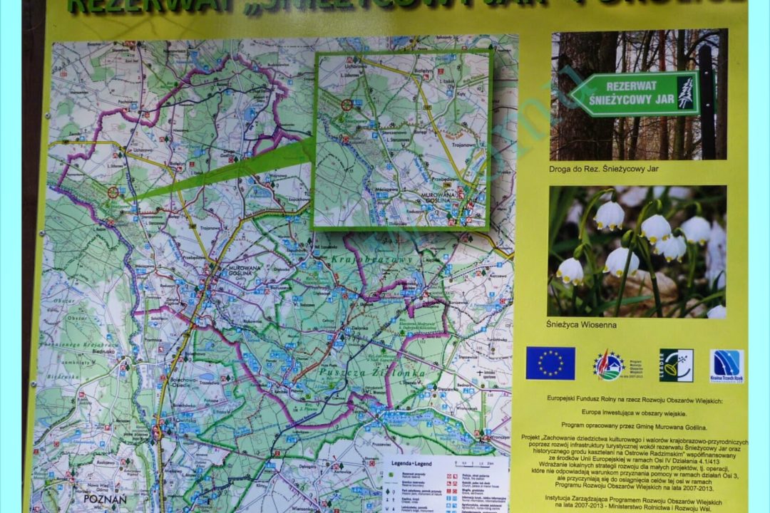 Wycieczka do rezerwatu przyrody