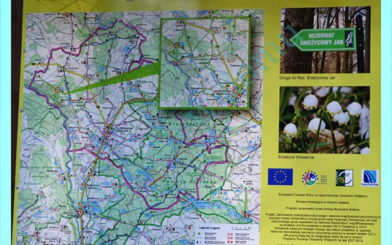 Wycieczka do rezerwatu przyrody