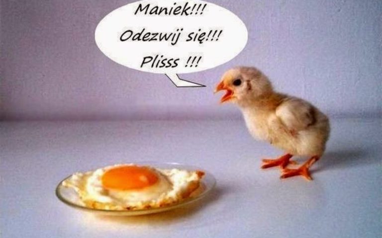 Kurczaczek? Kaczuszka? Coś, co ma związek z Wielkanocą