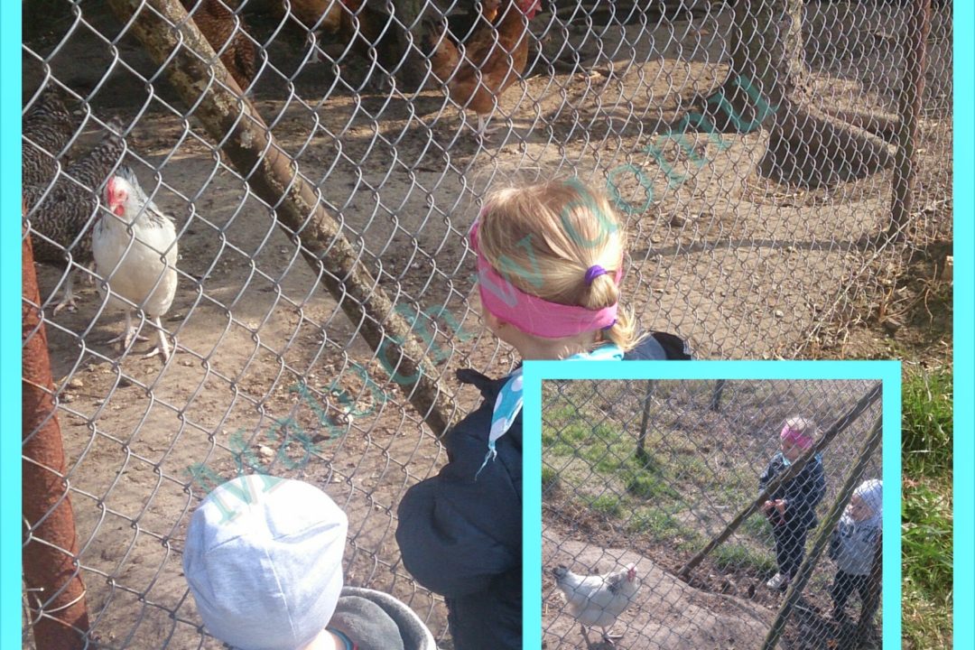 Ostatni post przed Wielkanocą: zdobienie jajek, święconka i życzenia