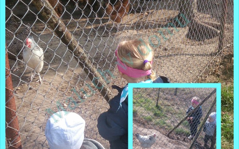 Ostatni post przed Wielkanocą: zdobienie jajek, święconka i życzenia