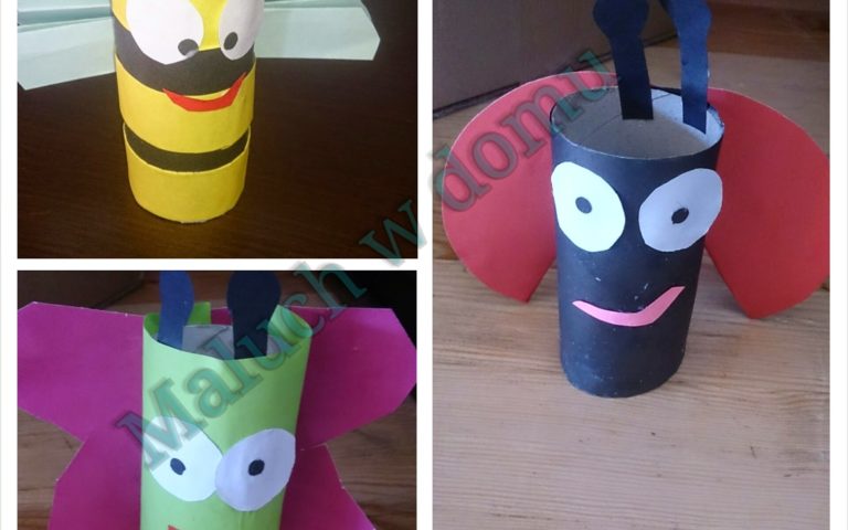 Co zrobić z rolek po papierze: owady