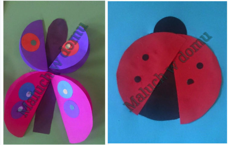 Motylek i biedronka z kół origami