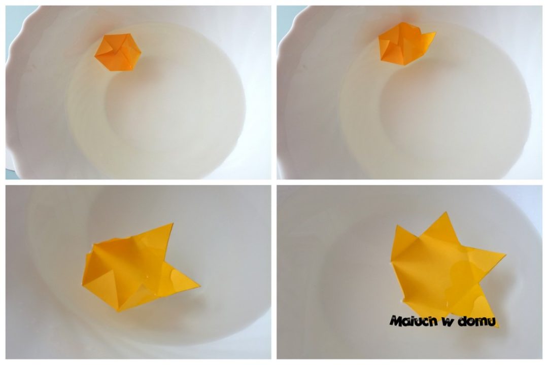 Doświadczenie: rozkwitający kwiat