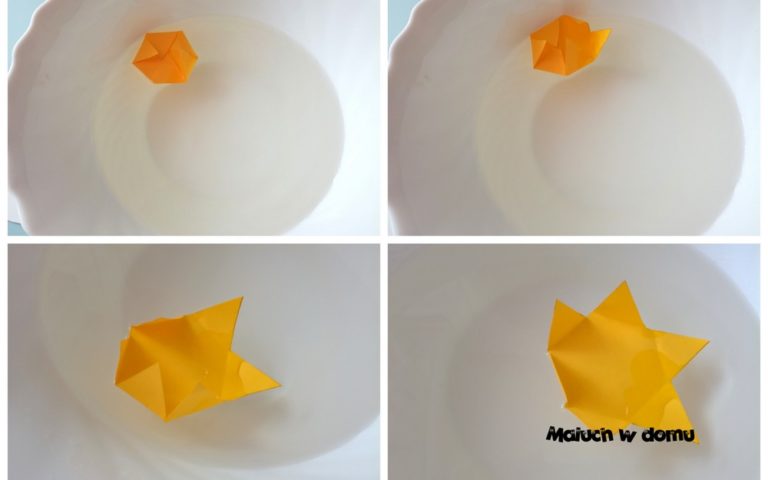 Doświadczenie: rozkwitający kwiat