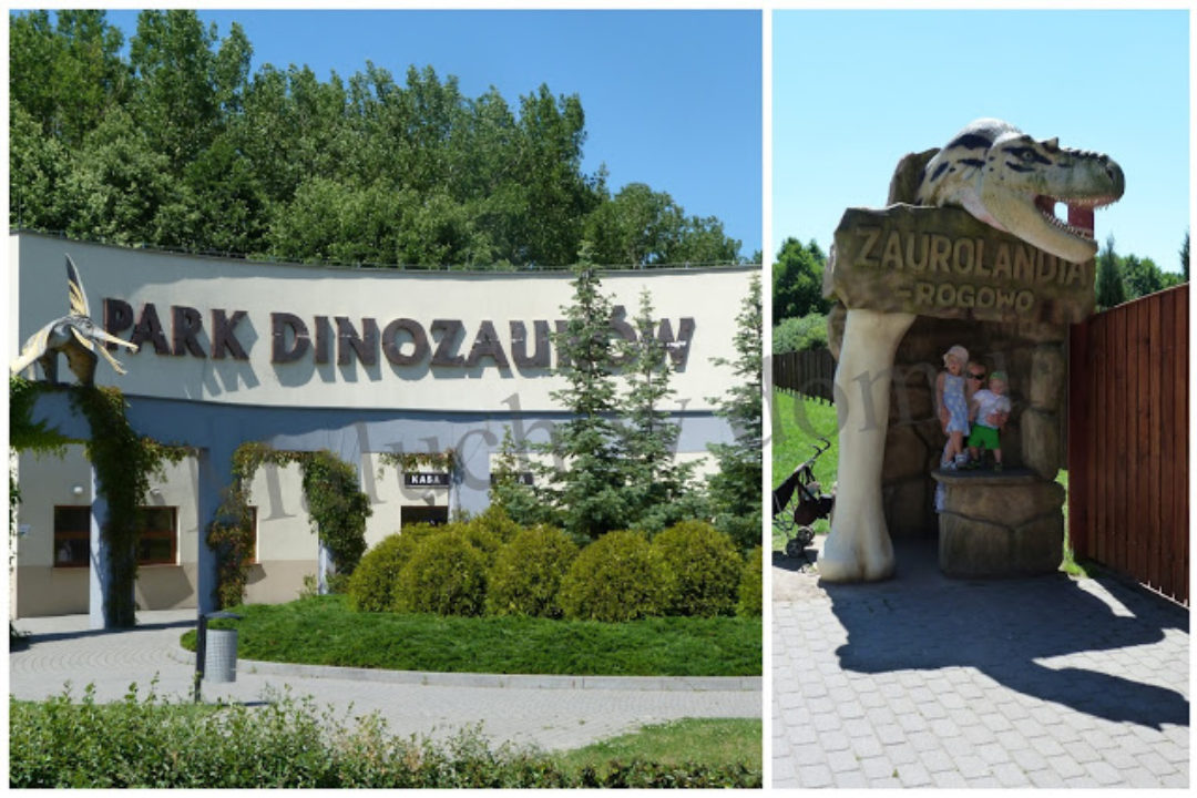 Podróż w czasy prehistoryczne…