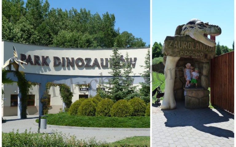 Podróż w czasy prehistoryczne…