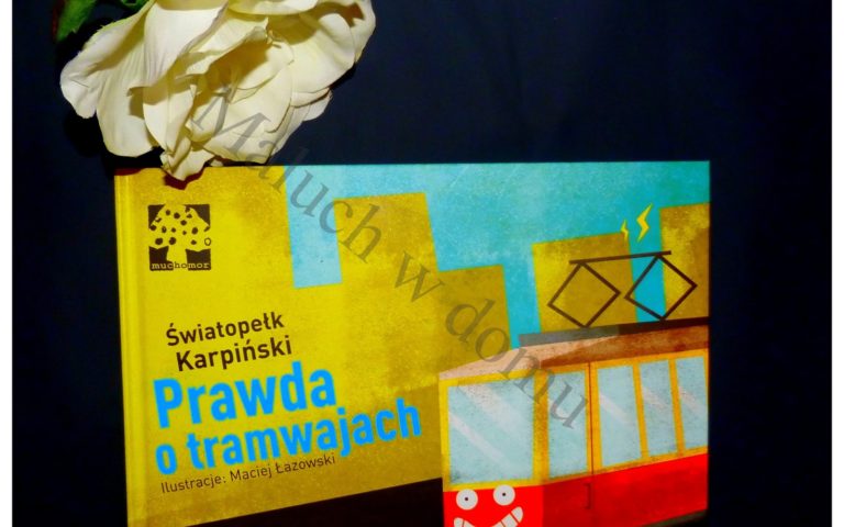 Prawda o tramwajach… I wszystko jasne!