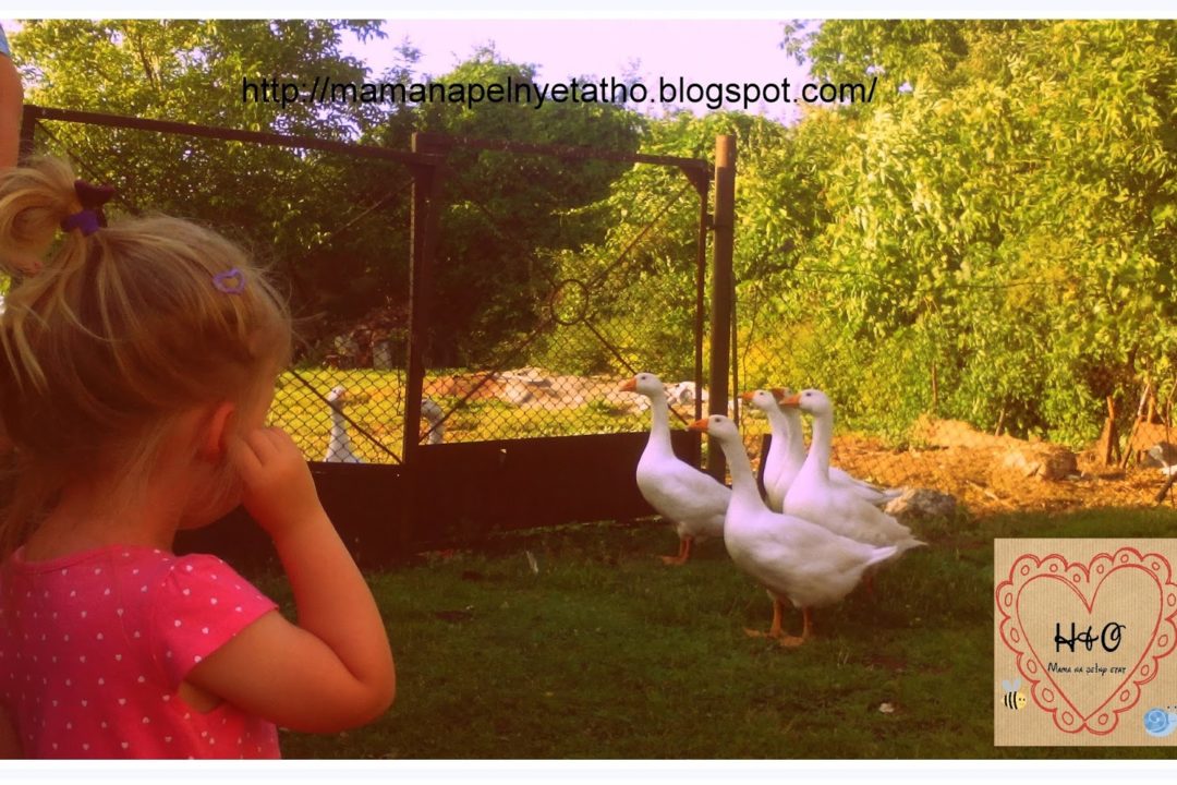 Cykl zabawy podwórkowe #2: Gąski – Mama na pełny etat