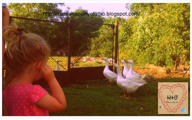 Cykl zabawy podwórkowe #2: Gąski – Mama na pełny etat