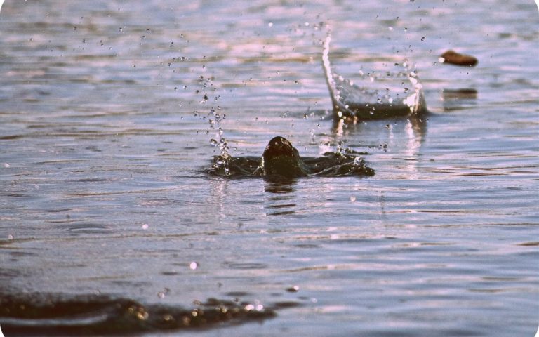 Cykl zabawy i gry podwórkowe #5: Zabawa w puszczanie kaczek Mama na pełny etat
