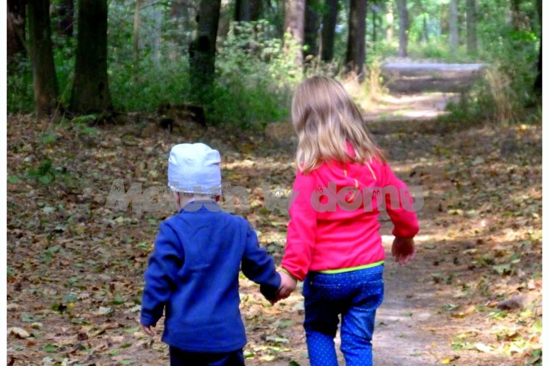 Edukacyjny spacer po lesie