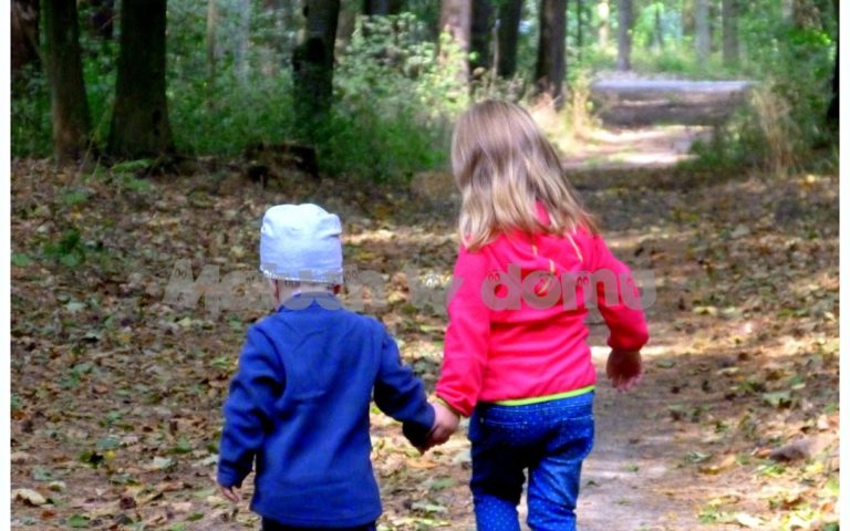 Edukacyjny spacer po lesie