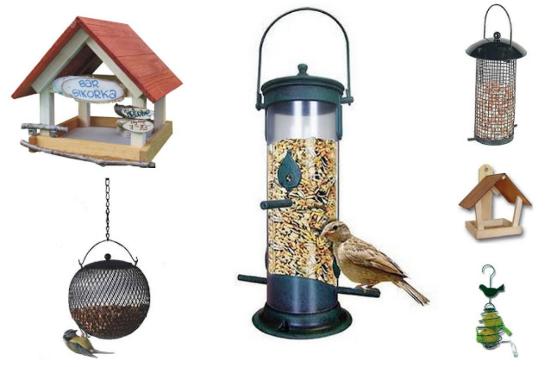 Troszczymy się o inne stworzenia