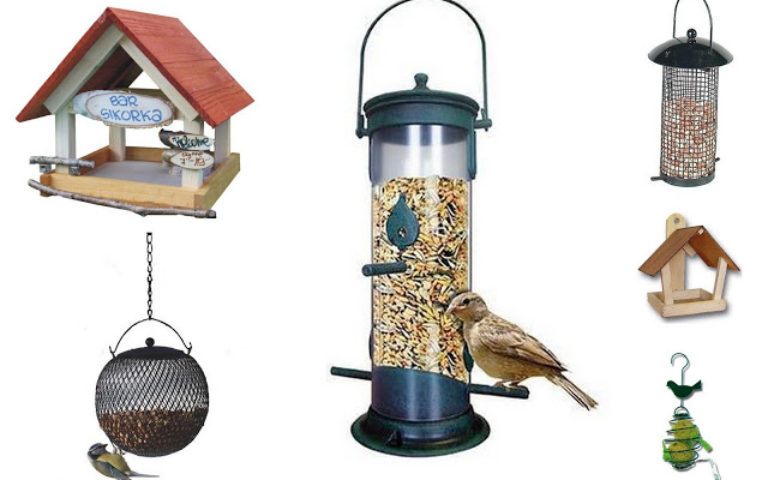 Troszczymy się o inne stworzenia