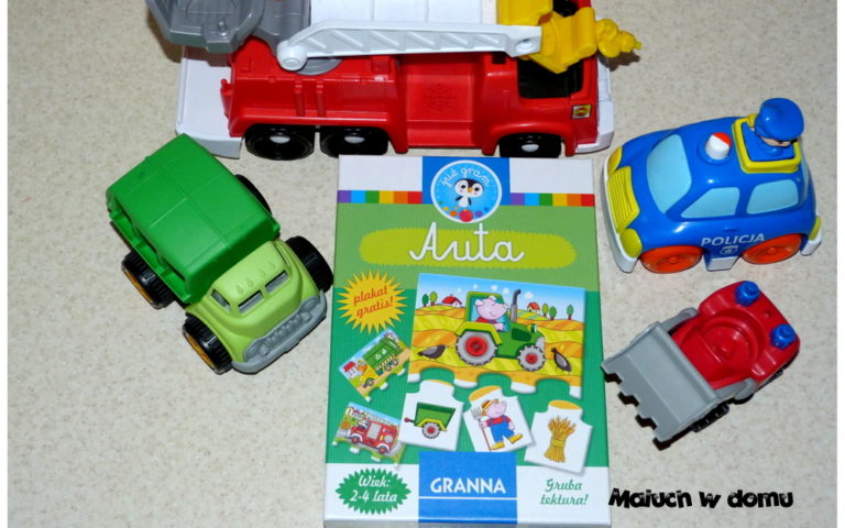Kilka słów na temat puzzli – gry: Auta Granna