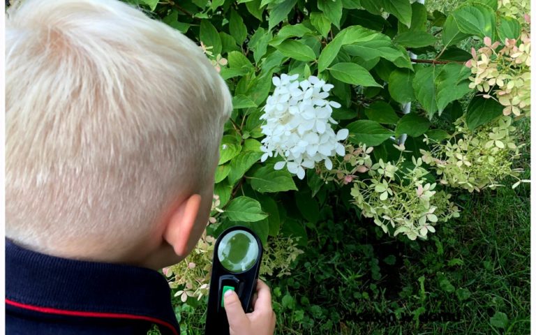 Odkrywaj z dzieckiem tajemnice istnienia