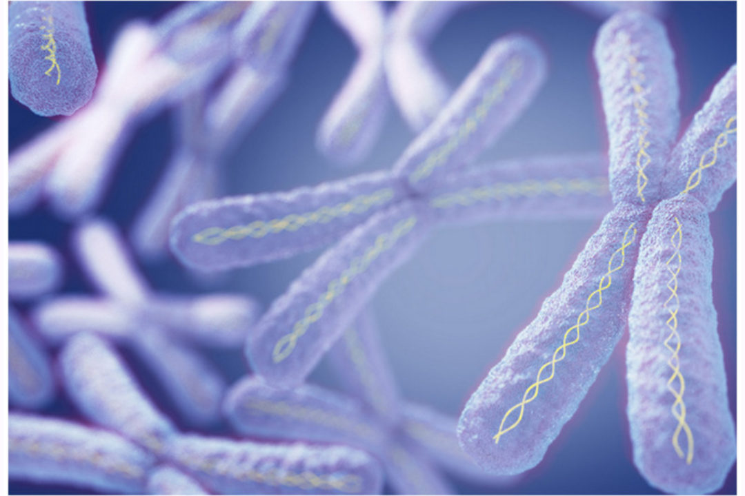 Test PAPP-A – jedno z podstawowych badań prenatalnych