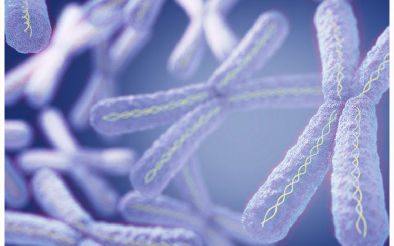 Test PAPP-A – jedno z podstawowych badań prenatalnych