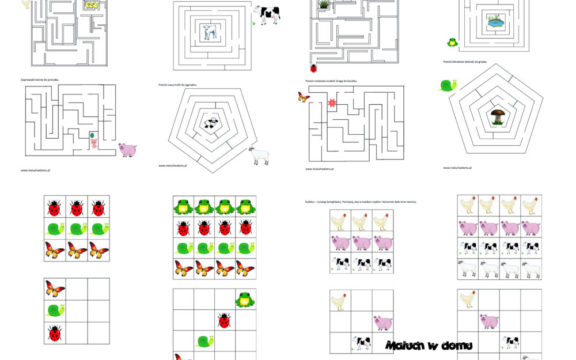 Labirynty dla dzieci i sudoku: na wsi i na łące