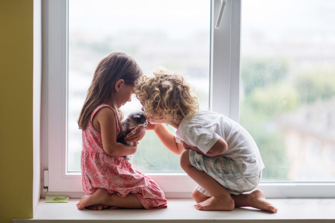 Wpływ zwierząt na dzieci