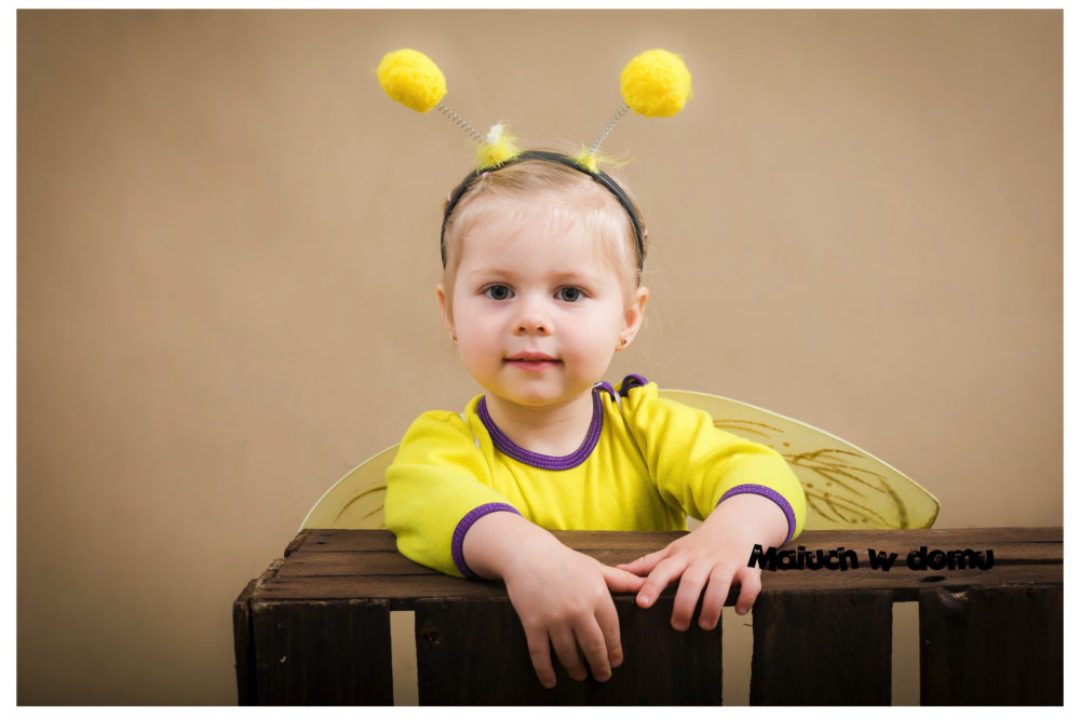 Pszczele wytwory, ciekawostki o pszczołach + plansze do pobrania