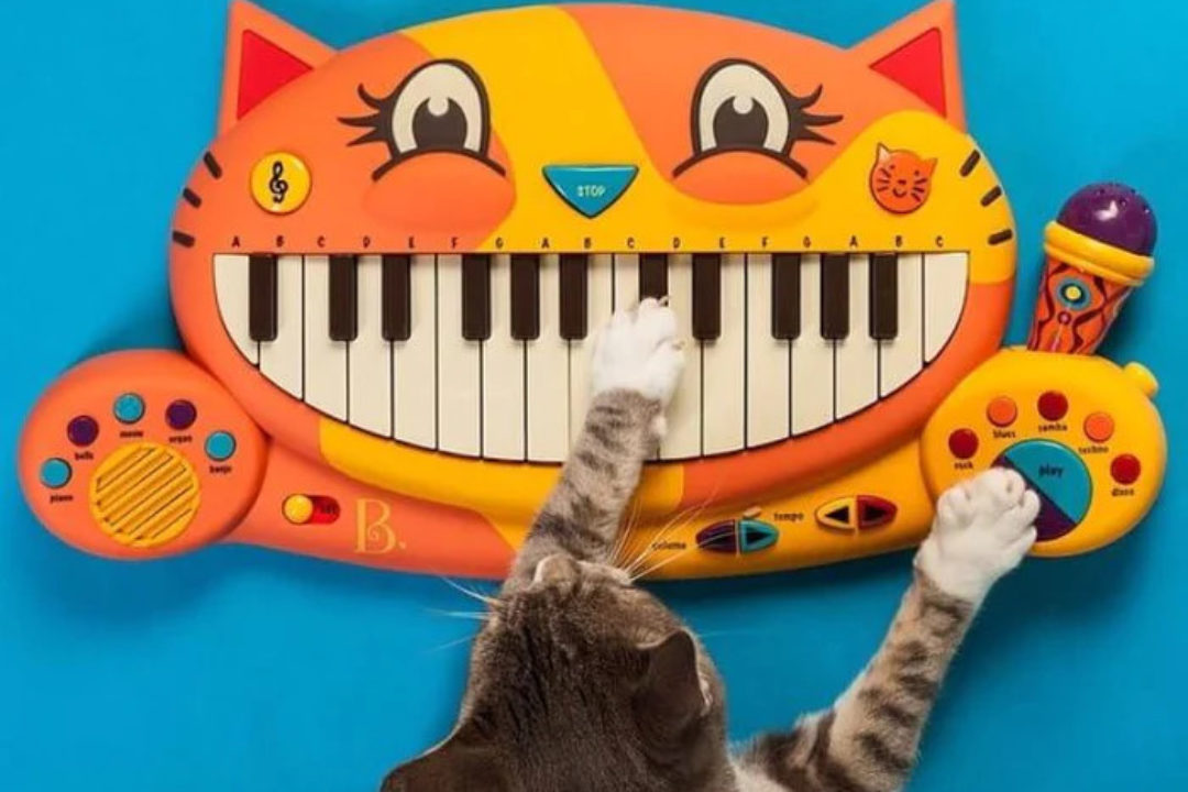 Co na prezent dla dwulatka?