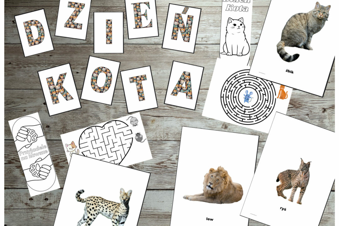 Darmowe materiały na Dzień Kota