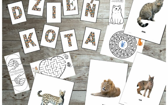 Darmowe materiały na Dzień Kota