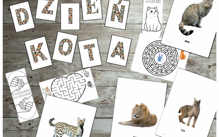 Darmowe materiały na Dzień Kota